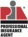 Professional Insurance Agent